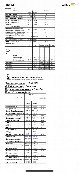 Щелочная фосфатаза повышена у кошки причины