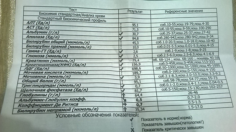 План по биохимии