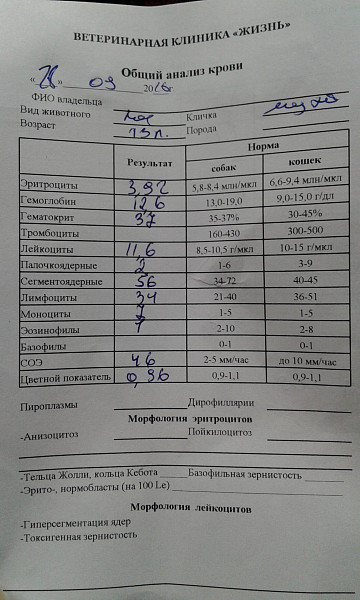 Часы работы сдачи анализов