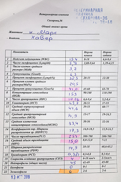 Норма plt в крови у мужчин