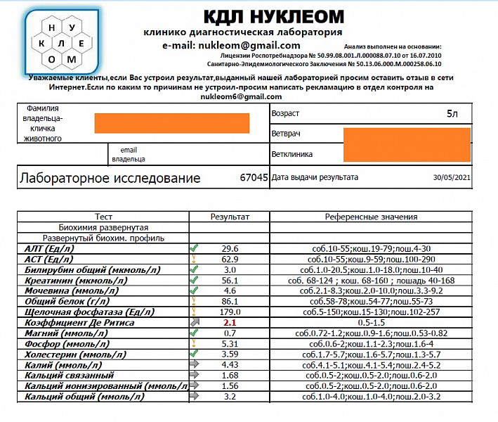 Мм 4 диагноз. Диагностика т4. Гошьф 4 диагностика пащьем нле.