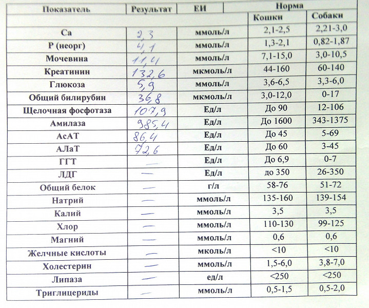 Повышены показатели печени