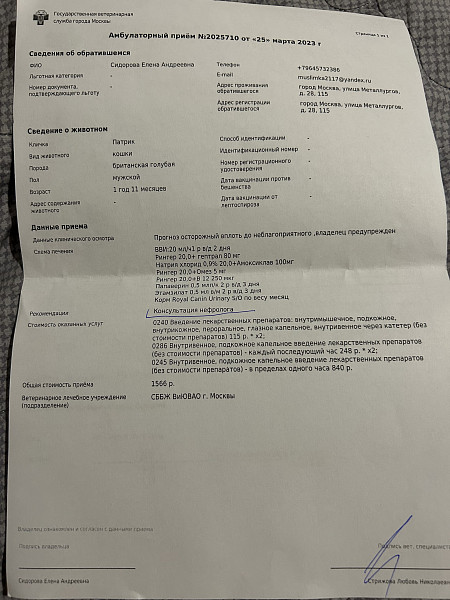 Почечная недостаточность у кота - 28 марта 2023 - Форум Зоовет