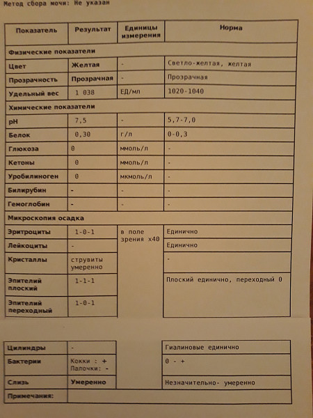 Как выглядят струвиты в моче у кота triple phosphate crystals, coffin lids Medical technology, Medical laboratory, C