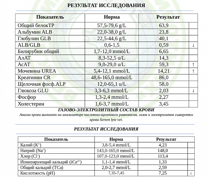 Какая норма кальция