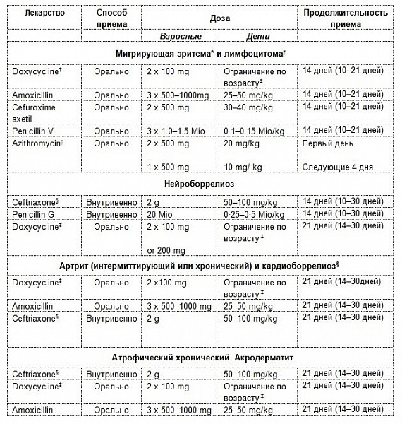 Цефтриаксон при простатите. Антибиотики при боррелиозе. Антибактериальная терапия при боррелиозе.