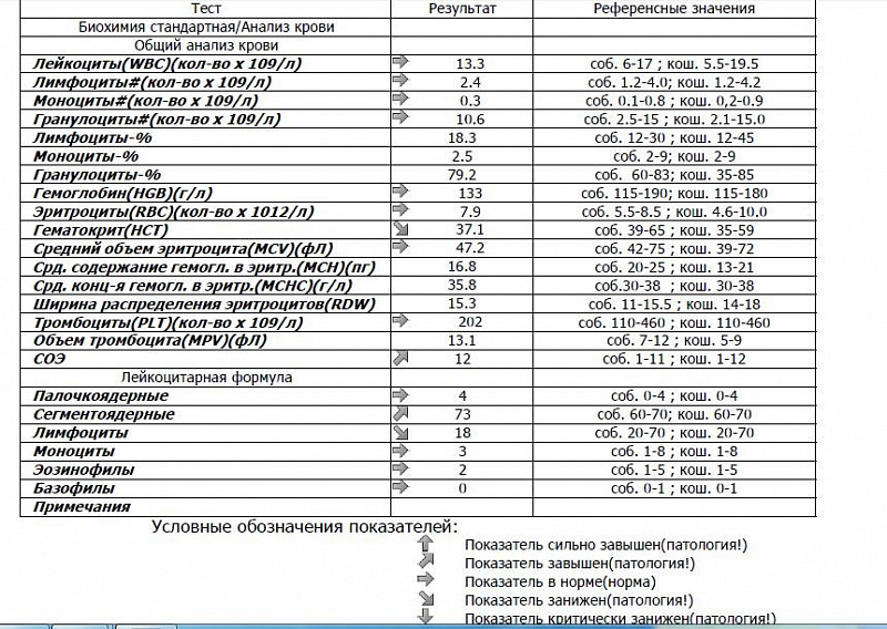 Анализы каневская