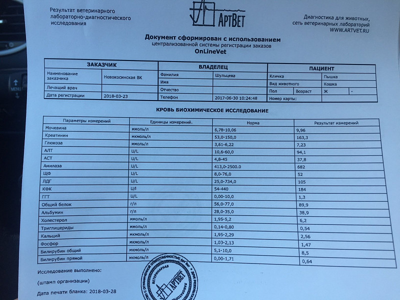 Коронавирус сдать платно