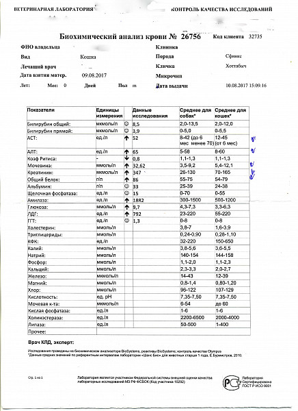 где можно сделать анализ камня