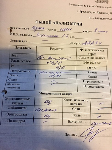 Направление на общую мочу