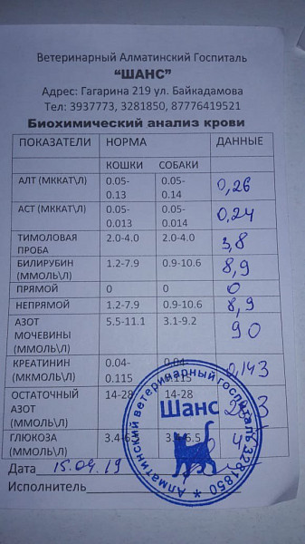Направительные бланки