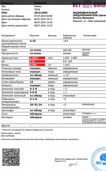 Моче у кошки повышены. Общий анализ мочи у кошек. Анализ мочи кошки цистит. Результат анализа мочи у кошки. Анализ мочи при цистите.