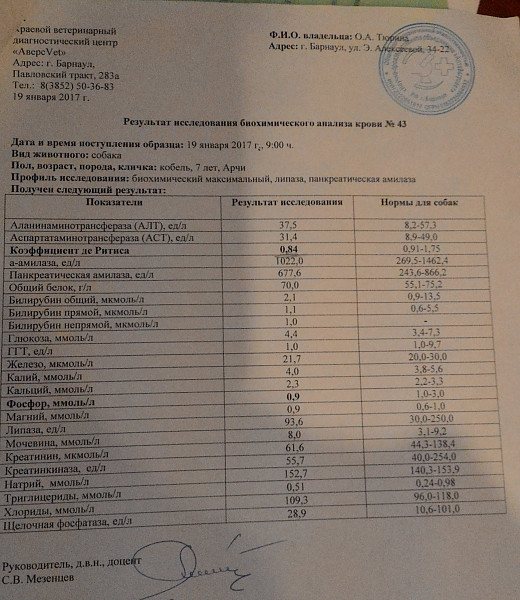 Общий анализ крови можно сдавать при месячных