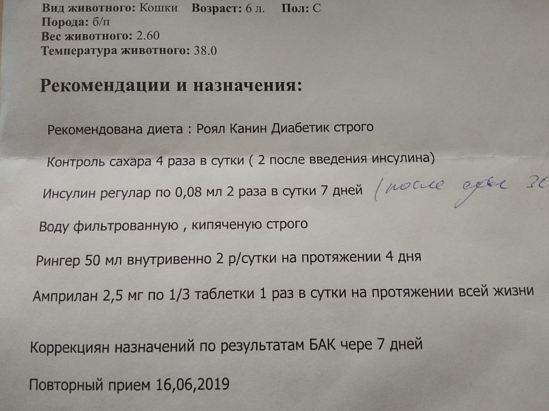 Мидантан Для Собак Для Чего Нужен