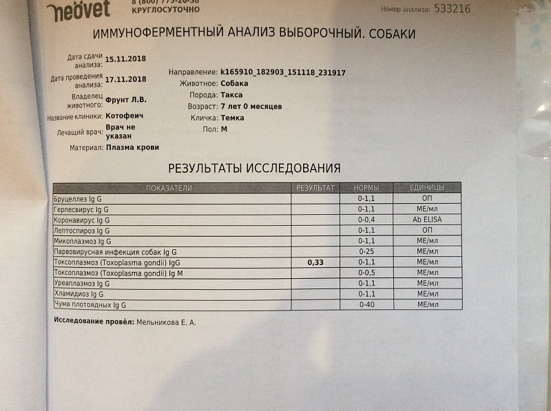 Чума анализы. Микоплазмоз анализ. Анализ на микоплазмоз у собак. Парвовирусная инфекция у собак. Анализ крови собаки.