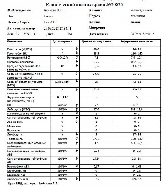 Л б х. Миртазапин для кошек при ХПН. Норма фосфора у котов. Миртазапин доза кошке. Сколько стоит капельница для кота при почечной недостаточности
