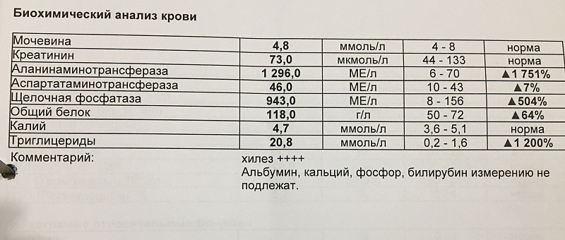 Мочевиной форум. Норма креатинина в анализе биохимии кровь. Анализа крови на показатели мочевины и креатинина. Биохимия мочевина и креатинин норма. Анализ крови почечные показатели биохимический анализ.