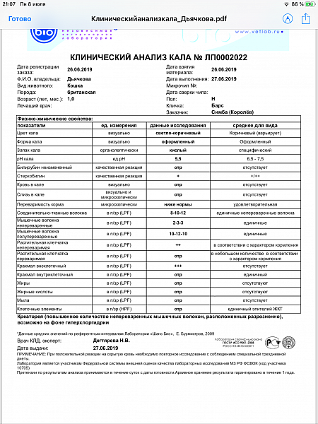 Результат анализа на скрытую кровь в кале