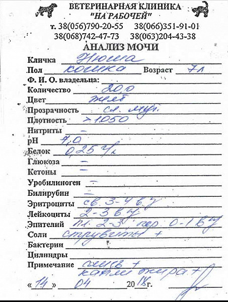 Общий анализ мочи пример. Общий анализ мочи заключение. Общий анализ мочи при заболеваниях почек.