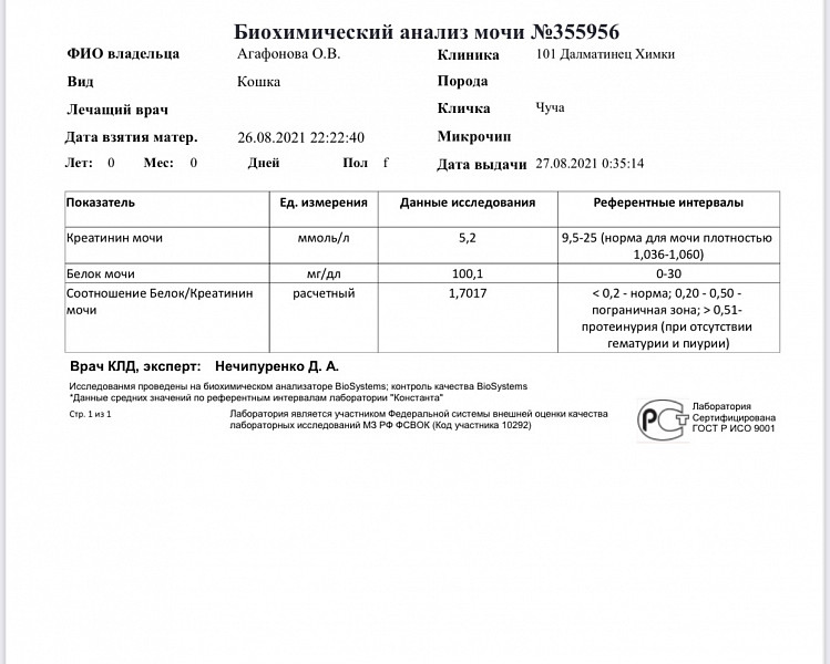 Моча на биохимический анализ. Биохимический анализ мочи. Анализ мочи. Биохимический анализ мочи у кошек.