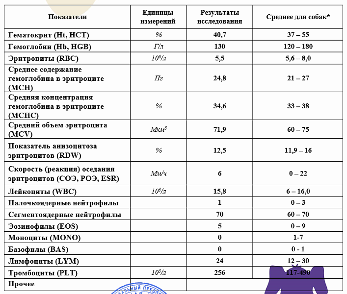 Содержание hb в эритроците понижено у женщин. Средняя концентрация HB В эритроцитах повышена. СОЭ увеличено. Скорость оседания эритроцитов повышен. Среднее содержание HB В эритроците повышено.