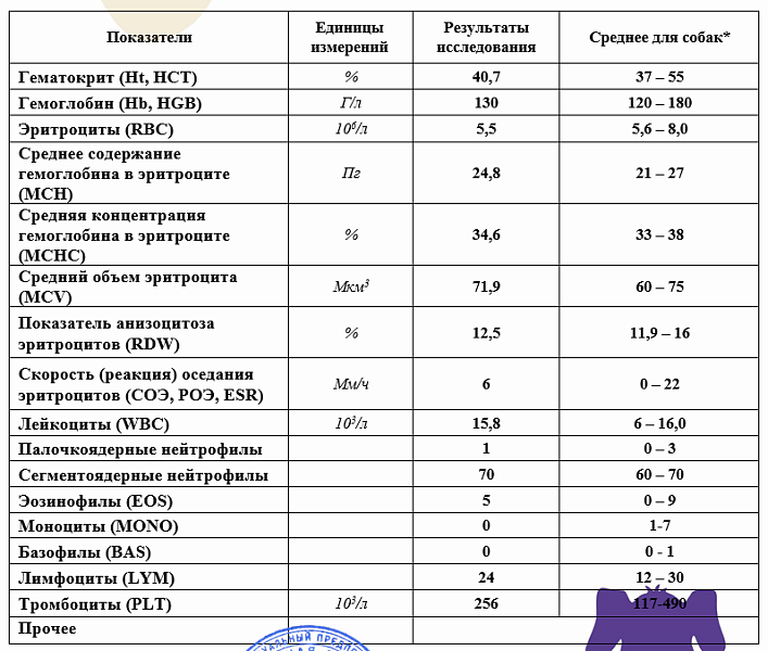 Соэ повышено в 2 раза