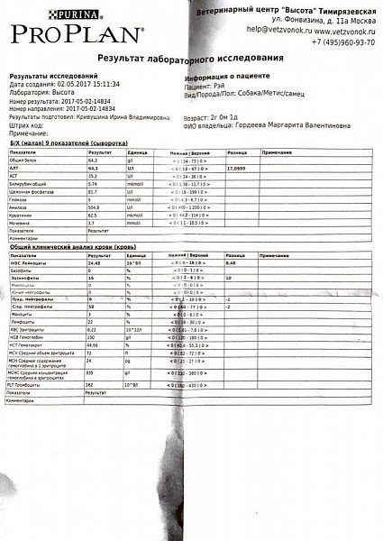 взятие крови у кошек и собак. сдать биохимию собаке. биохимический анализ крови у собак расшифровка норма. оак при пироплазмозе у собак. взятие крови у собаки ветеринария.