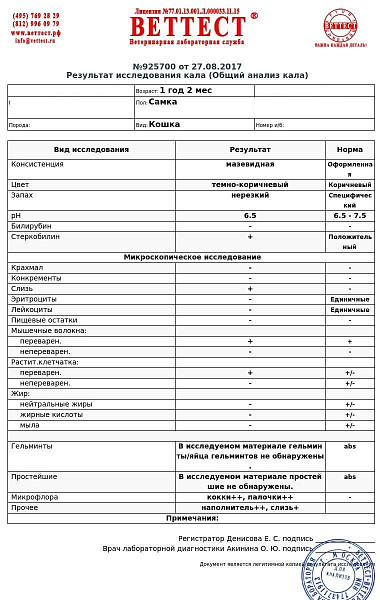 Анализ кала у мужчин