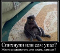 Кот пометил хозяйку что это значит. Смотреть фото Кот пометил хозяйку что это значит. Смотреть картинку Кот пометил хозяйку что это значит. Картинка про Кот пометил хозяйку что это значит. Фото Кот пометил хозяйку что это значит
