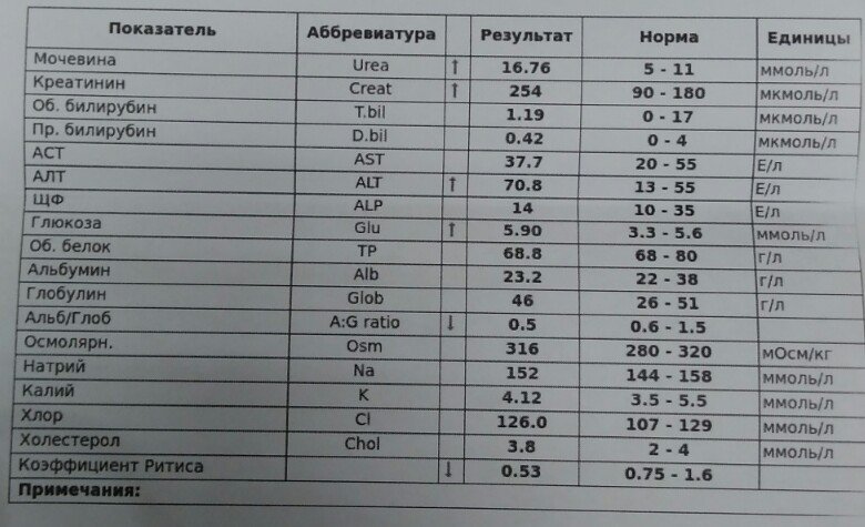 Алт и аст повышен билирубин в норме