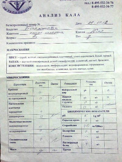 исследование кала общий анализ. анализ кала на кровь. биохимический анализ кала показатели. биохимический анализ мочи. биохимический анализ кала результат.