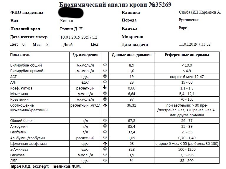 Причины повышенного общего белка в крови. Норма общего белка в биохимическом анализе крови. Снижение белка в биохимическом анализе крови у больного. Биохимический анализ исследование при анемии. Расшифровка анализа крови белок.