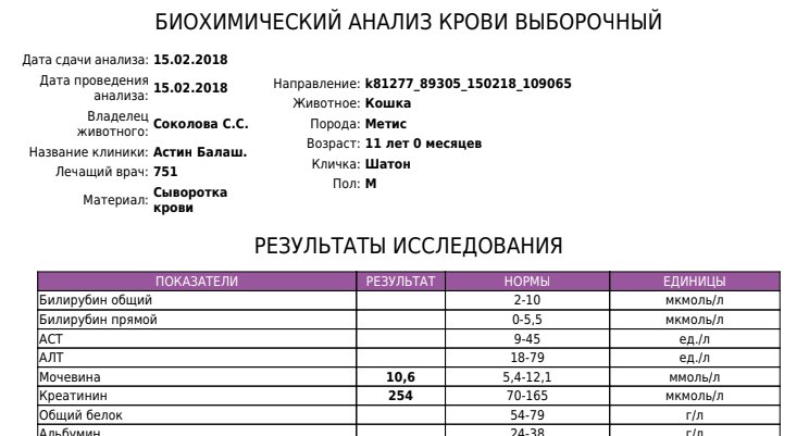 Панкреатит у кота схема лечения
