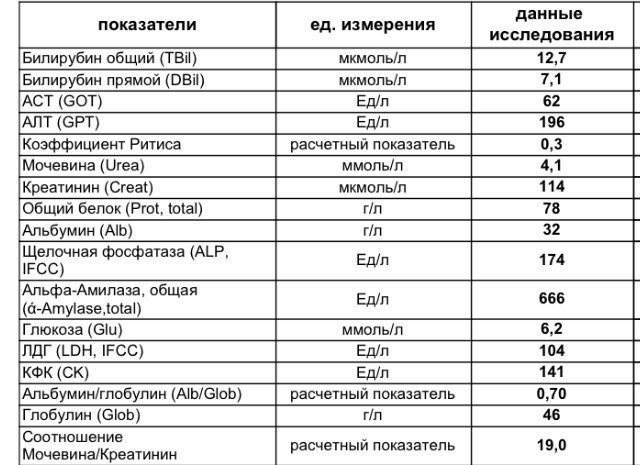 Какие показатели при онкологии печени. Показатели печени в общем анализе крови. Белок при онкологии показатели