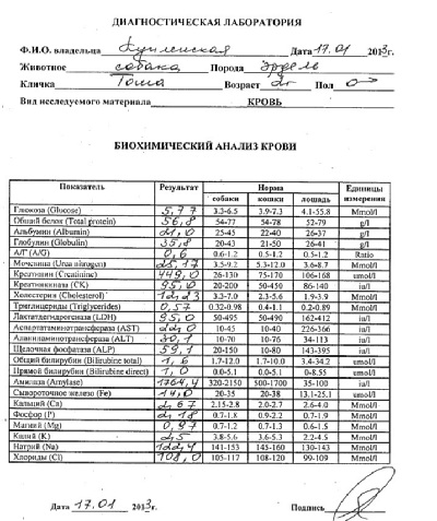 Диувер Длительность Приема Форум