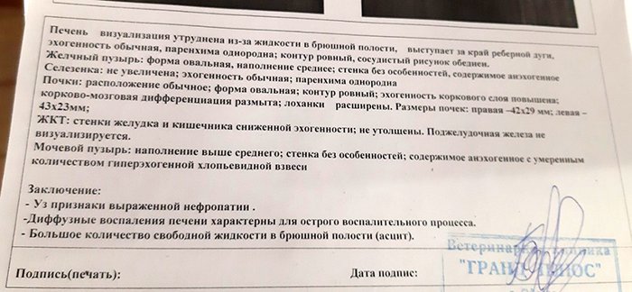 Узи брюшной полости с водно сифонной пробой. Цирроз печени узи протокол. Узи живота. Грыжа пищеводного отверстия диафрагмы на узи. Узи желудка заключение.
