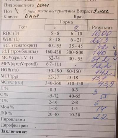 Анализы на селезенку. Анализ мочи при воспалении. Почечные показатели в моче. Общий анализ мочи почек. Анализ мочи при исследования почек.