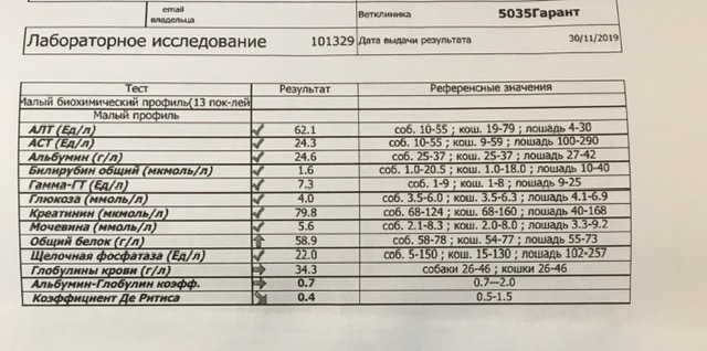 Кальцивироз у котят схема лечения