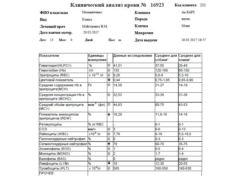 Норма сахара в крови у кошек