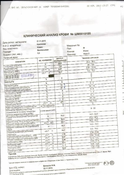 Сдать кровь на анализ печени. Анализы печени. Анализы печень анализы. Плохие анализы печени. Печеночные анализы крови.