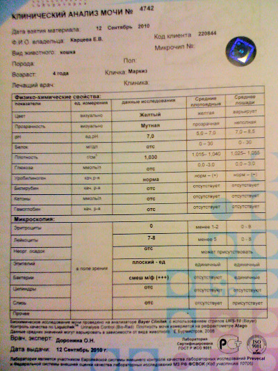 Мир семьи анализы. Анализ мочи в поликлинике расшифровка. Исследование мочи кролика.