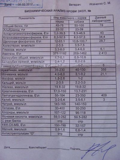 Анализ б а к. Х/Б. ЭКБ анализ БХ.