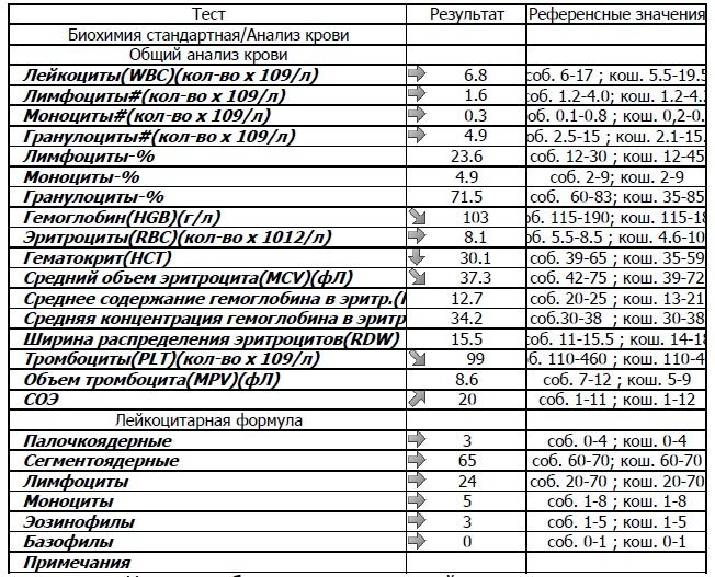 Что означает анализ биохимии. Стандарт биохимии для анализа крови. Анализ крови биохимический общетерапевтический таблица. Биохимический анализ крови развернутый. Биохимия крови стандартный анализ.