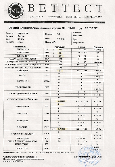Общий анализ мочи собаки. Анализы крови при пиометре у собаки. Показатели клинического анализа крови у собак ВЕТТЕСТ. Показатели крови при пиометре у собак. Исследование крови у кошек.