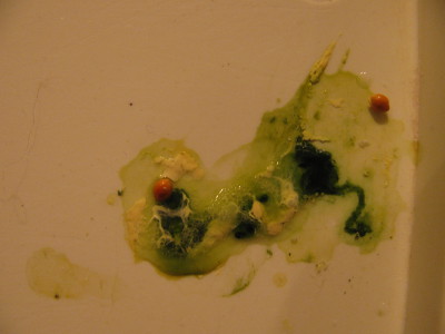 рвота пеной у человека причины