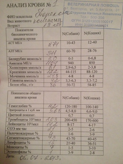 Кровь для проверки печени