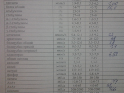 где сдать анализы пса