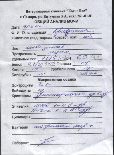 Обходной лист при беременности образец заполнения