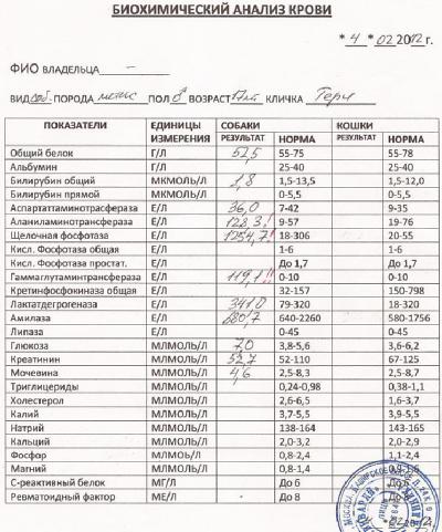 Сколько делают биохимический анализ