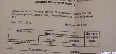 Направление мочи на диастазу образец